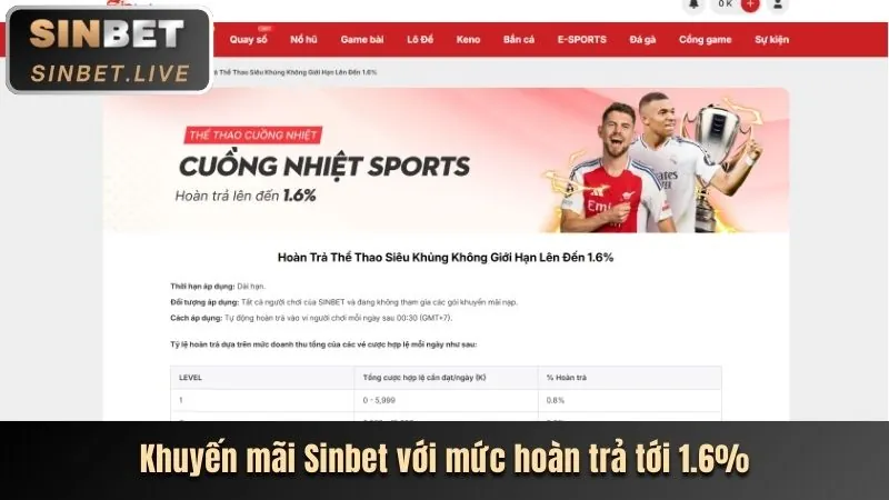 Cá cược Quần vợt saobet